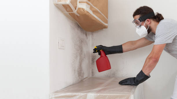 Professional Mold Testing technician working in Brookline, MA