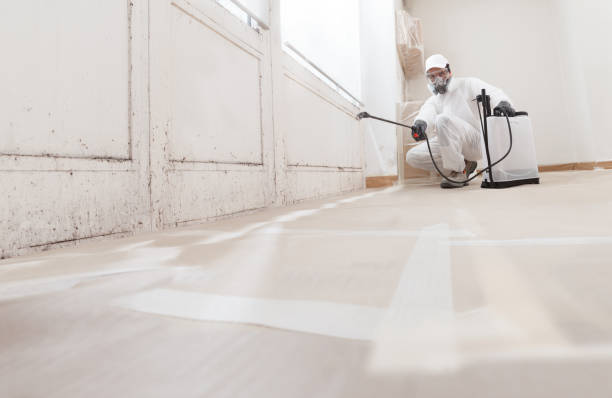 24/7 Emergency Mold Testing experts in Brookline, MA