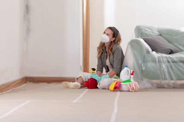Reliable Mold Testing contractor in Brookline, MA by WQB Mold Removal